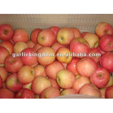 138-198 18kg yantai Fuji Apple price